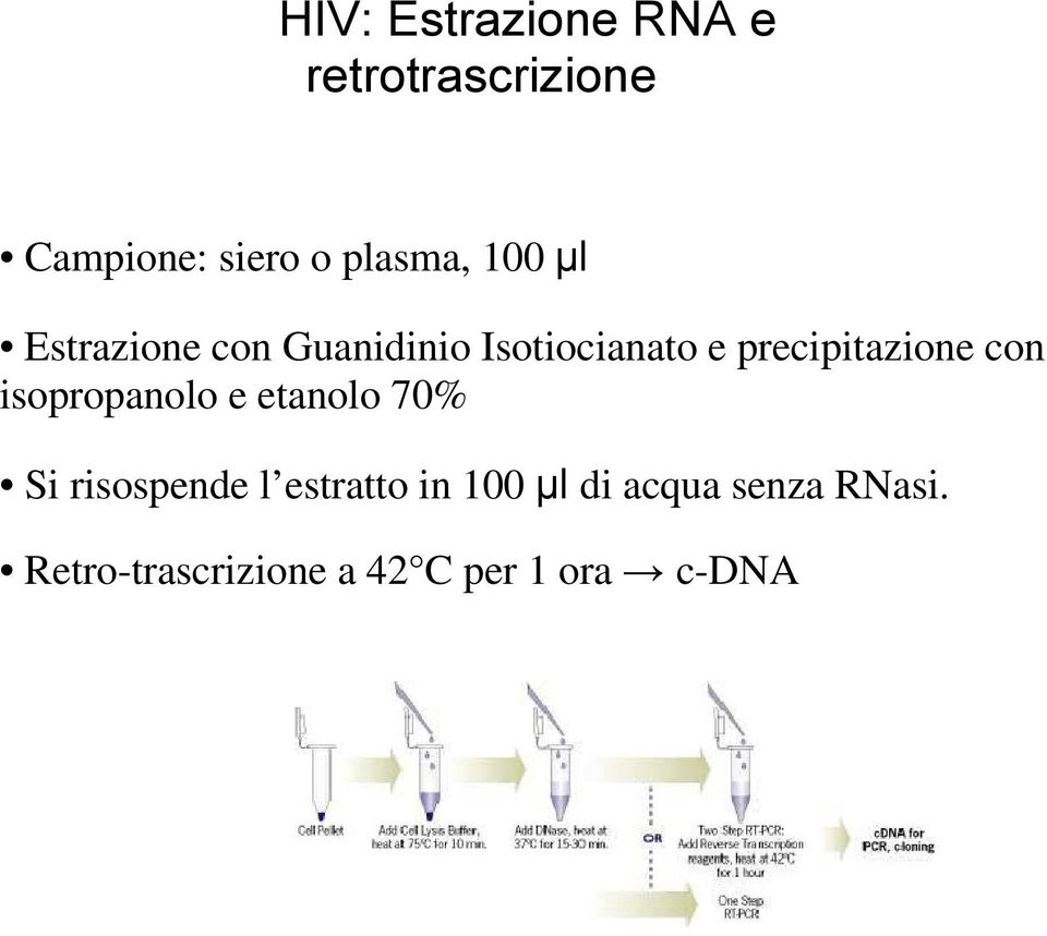 precipitazione con isopropanolo e etanolo 70% Si risospende l