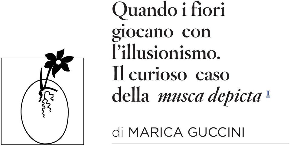 Il curioso caso della