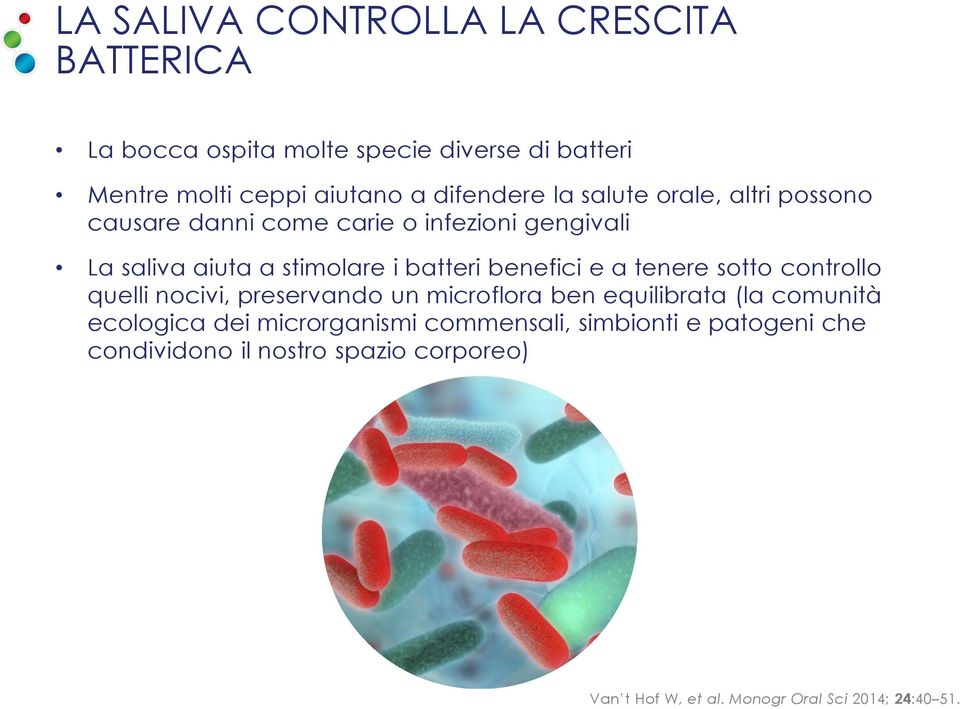 benefici e a tenere sotto controllo quelli nocivi, preservando un microflora ben equilibrata (la comunità ecologica dei