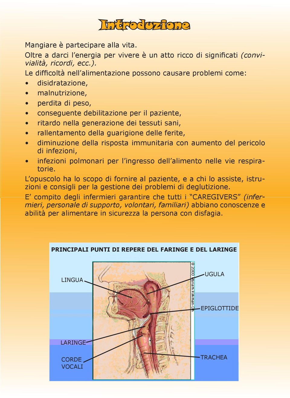 rallentamento della guarigione delle ferite, diminuzione della risposta immunitaria con aumento del pericolo di infezioni, infezioni polmonari per l ingresso dell alimento nelle vie respiratorie.