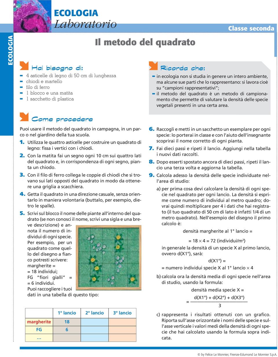 valutare la densità delle specie vegetali presenti in una certa area. Puoi usare il metodo del quadrato in campagna, in un parco o nel giardino della tua scuola. 1.