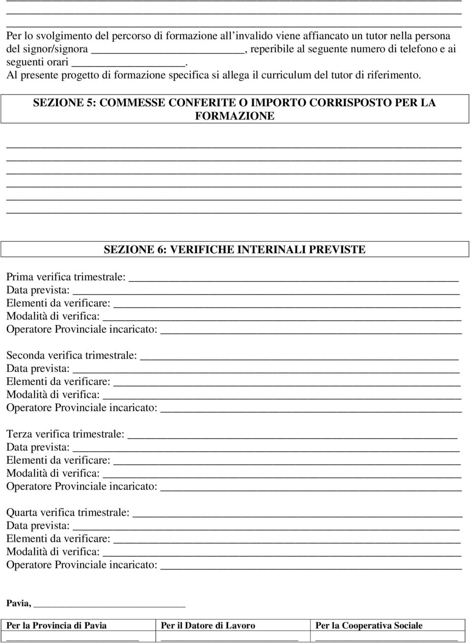 SEZIONE 5: COMMESSE CONFERITE O IMPORTO CORRISPOSTO PER LA FORMAZIONE SEZIONE 6: VERIFICHE INTERINALI PREVISTE Prima verifica trimestrale: Seconda