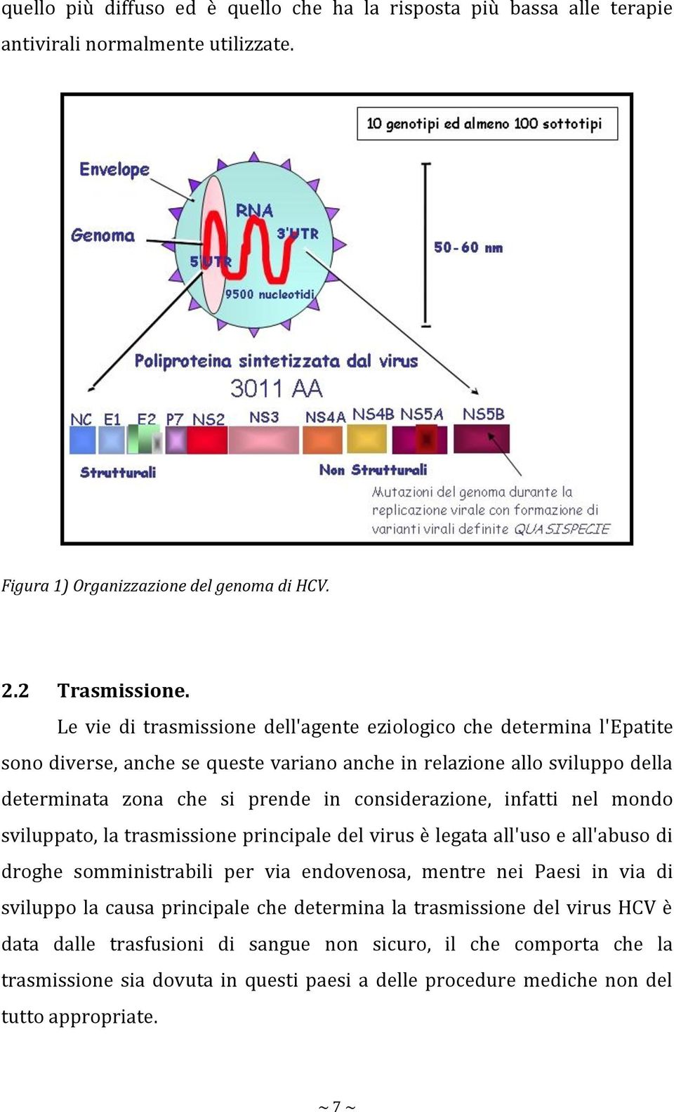 considerazione, infatti nel mondo sviluppato, la trasmissione principale del virus è legata all'uso e all'abuso di droghe somministrabili per via endovenosa, mentre nei Paesi in via di sviluppo