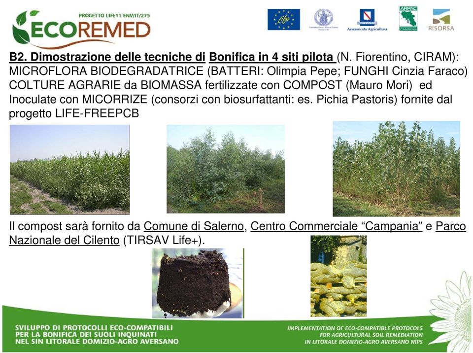 BIOMASSA fertilizzate con COMPOST (Mauro Mori) ed Inoculate con MICORRIZE (consorzi con biosurfattanti: es.