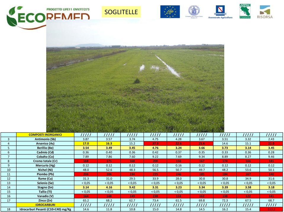 34 8.89 8.27 9.46 8 Cromo totale (Cr) 168 171 168 200 156 167 174 166 181 9 Mercurio (Hg) 0.12 0.12 0.12 0.12 0.16 0.12 0.12 0.12 0.12 10 Nichel (Ni) 48.0 52.6 48.3 56.5 50.7 49.7 48.2 53.6 50.