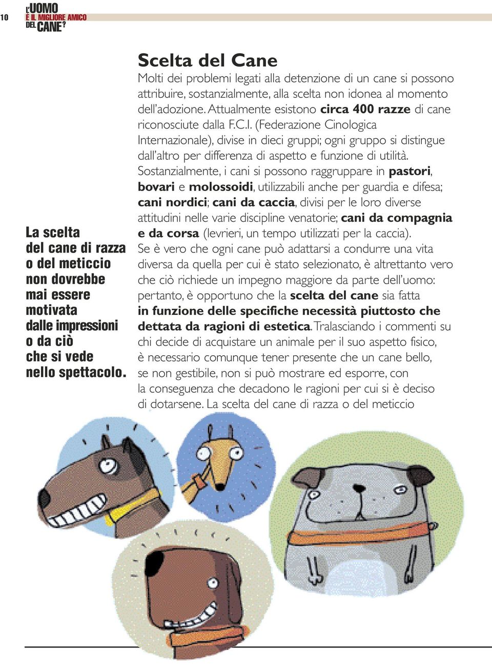 Attualmente esistono circa 400 razze di cane riconosciute dalla F.C.I.