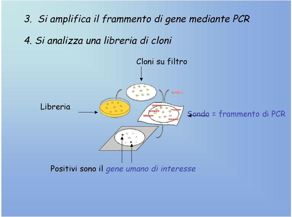 Si analizza una libreria di cloni Cloni su