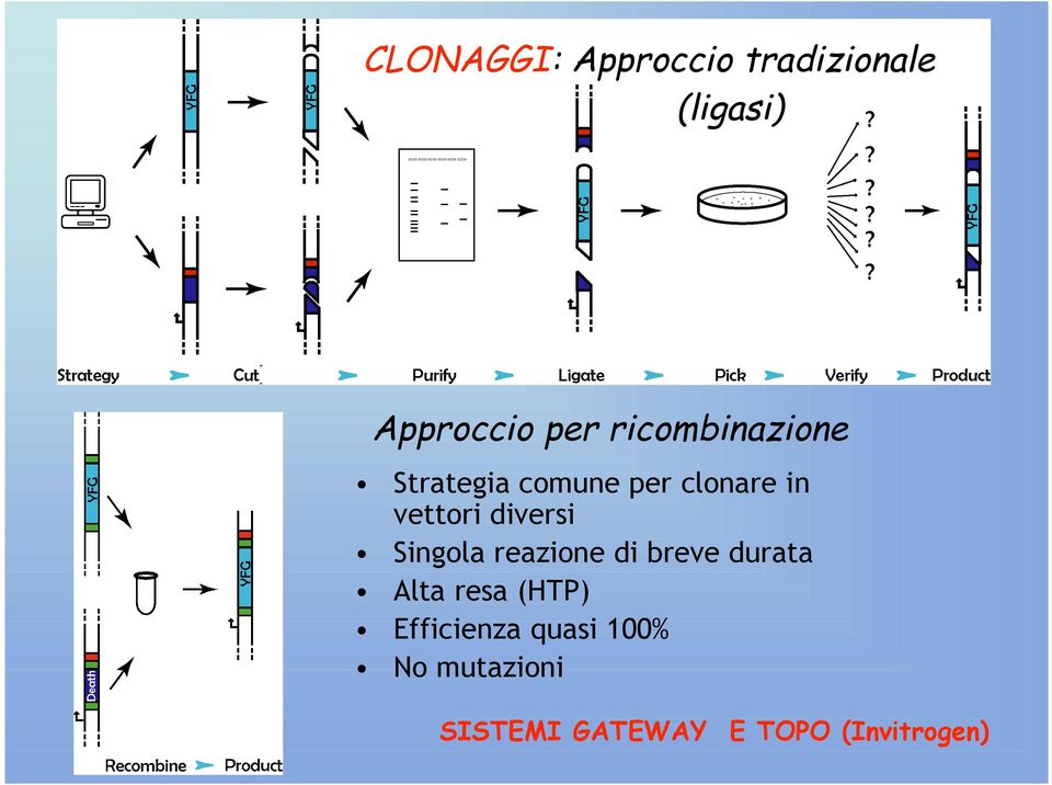 diversi Singola reazione di breve durata Alta resa (HTP)