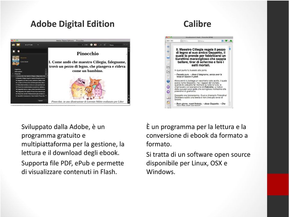 Supporta file PDF, epub e permette di visualizzare contenuti in Flash.