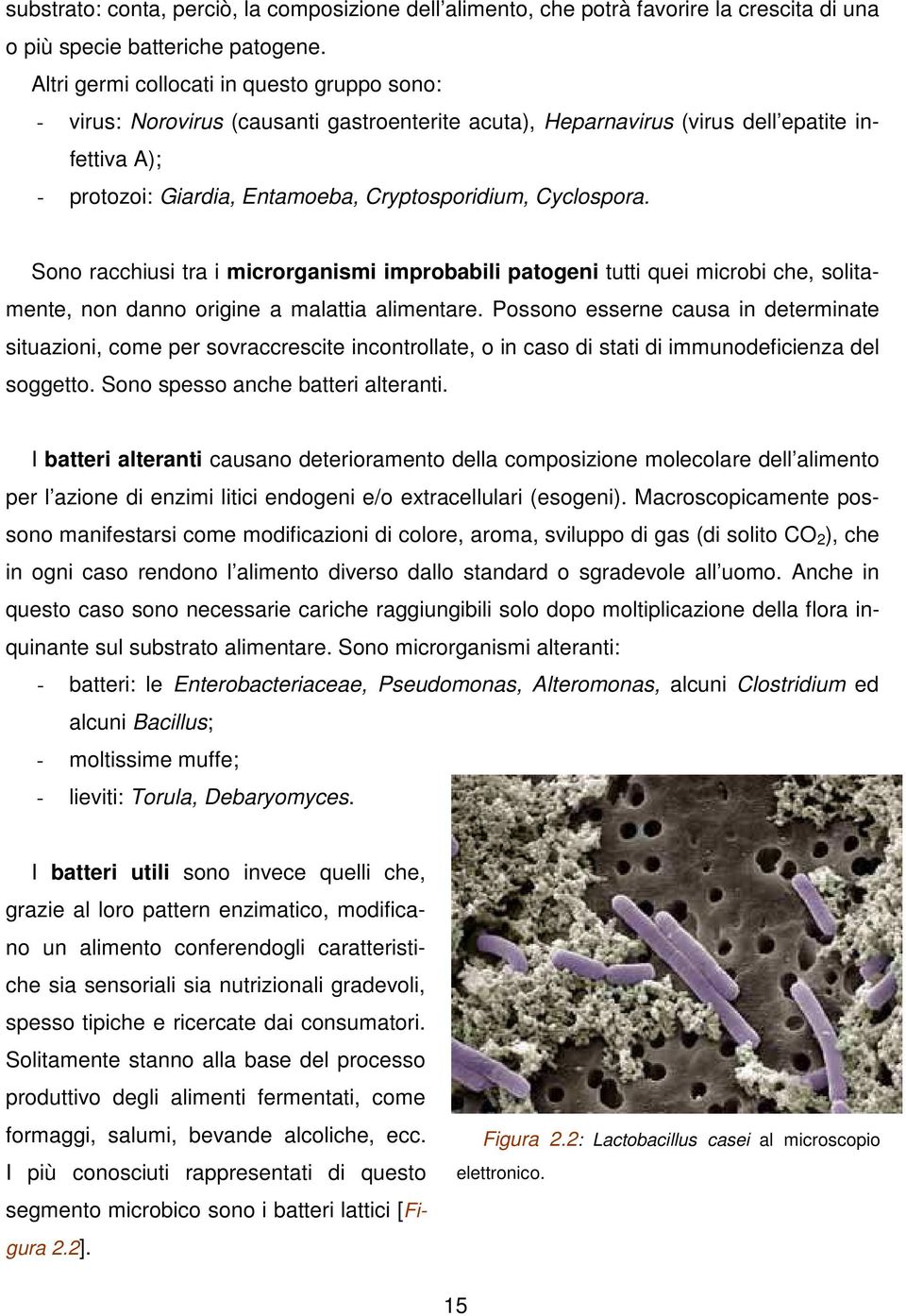 Cyclospora. Sono racchiusi tra i microrganismi improbabili patogeni tutti quei microbi che, solitamente, non danno origine a malattia alimentare.