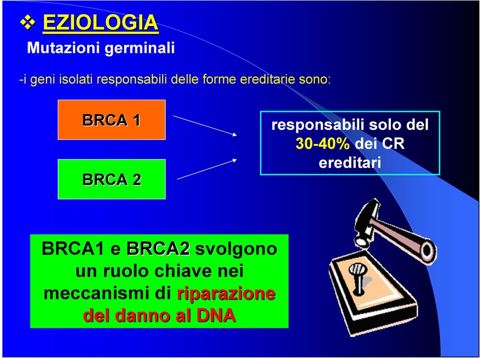 solo del 30-40% dei CR ereditari BRCA1 e BRCA2 svolgono un