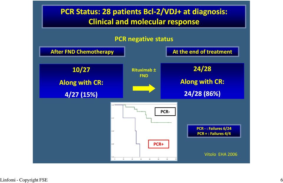 Rituximab ± FND At the end of treatment 24/2828 Along with CR: 24/2828 (86%) PCR-