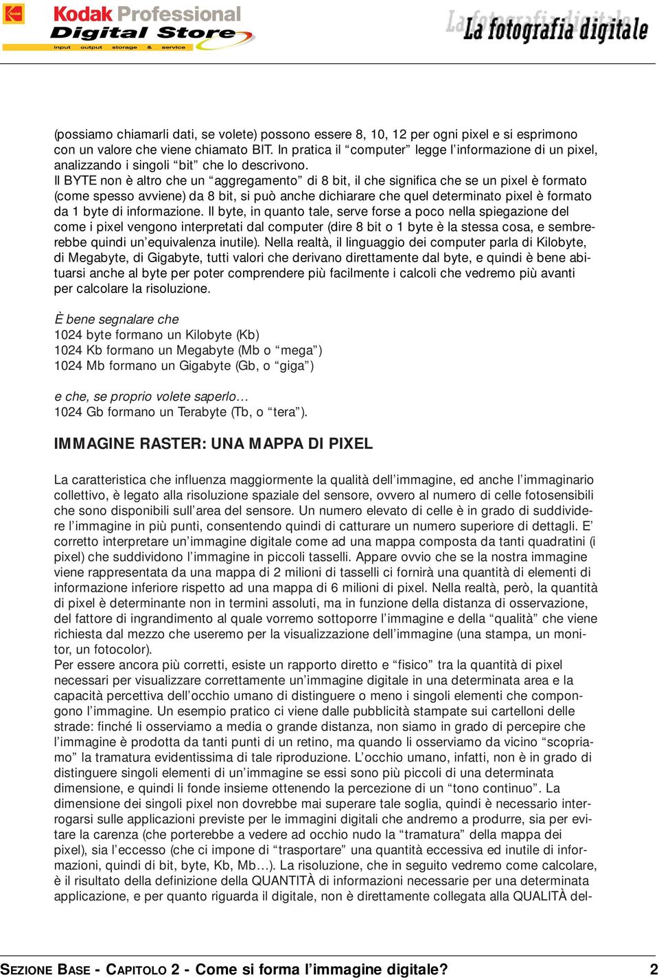 Il BYTE non è altro che un aggregamento di 8 bit, il che significa che se un pixel è formato (come spesso avviene) da 8 bit, si può anche dichiarare che quel determinato pixel è formato da 1 byte di