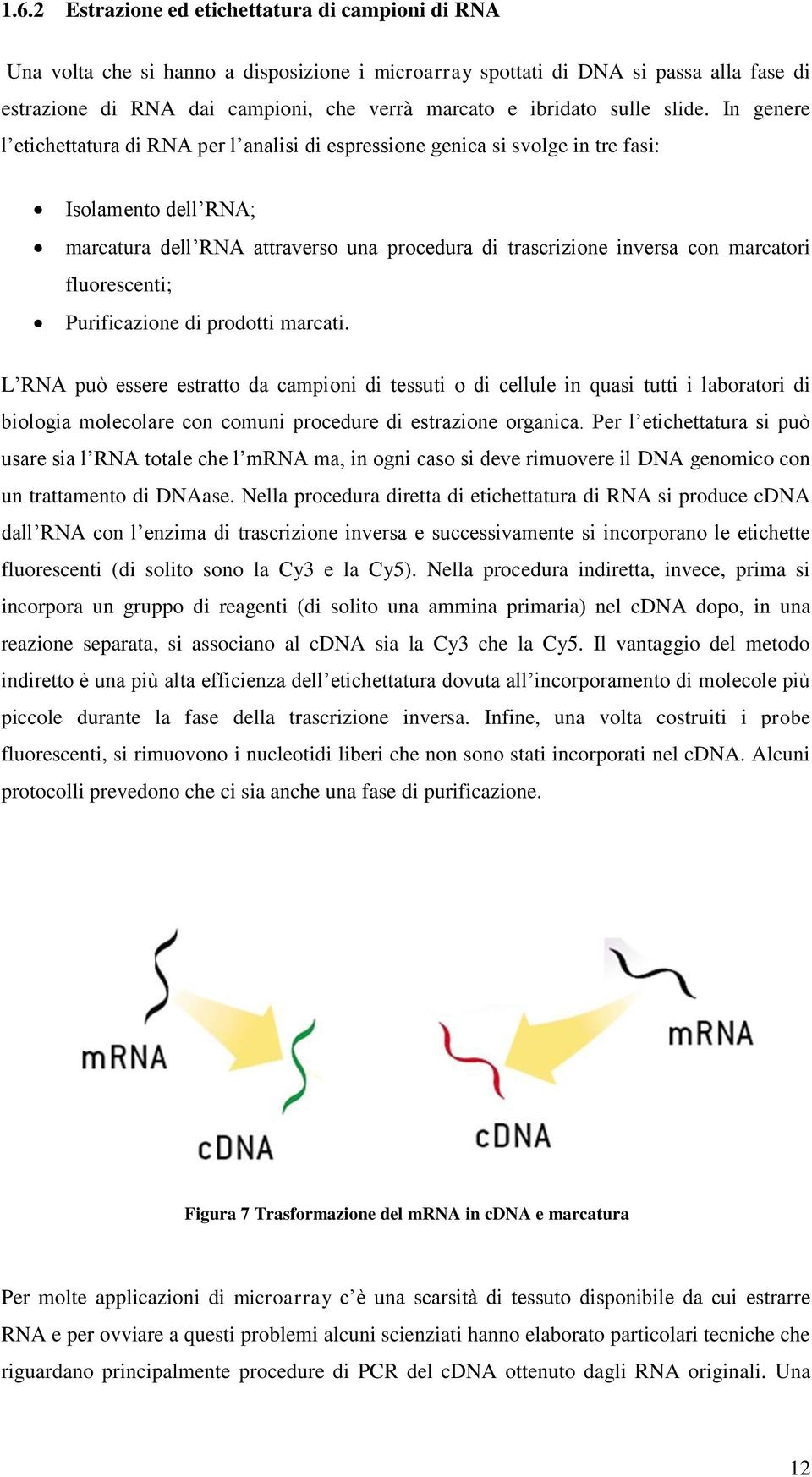 In genere l etichettatura di RNA per l analisi di espressione genica si svolge in tre fasi: Isolamento dell RNA; marcatura dell RNA attraverso una procedura di trascrizione inversa con marcatori