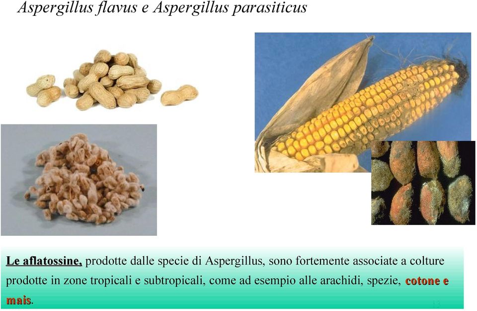 fortemente associate a colture prodotte in zone tropicali e