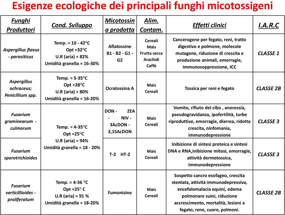 Cereali Mais Frutta secca Arachidi Caffè Effetti clinici Cancerogene per fegato, reni, tratto digestivo e polmone, molecole mutagene, riduzione di crescita e produzione animali, emorragie,