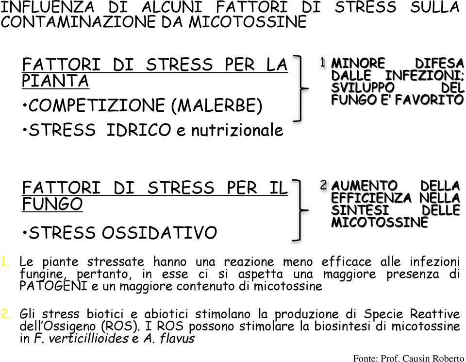 Le piante stressate hanno una reazione meno efficace alle infezioni fungine, pertanto, in esse ci si aspetta una maggiore presenza di PATOGENI e un maggiore contenuto di micotossine