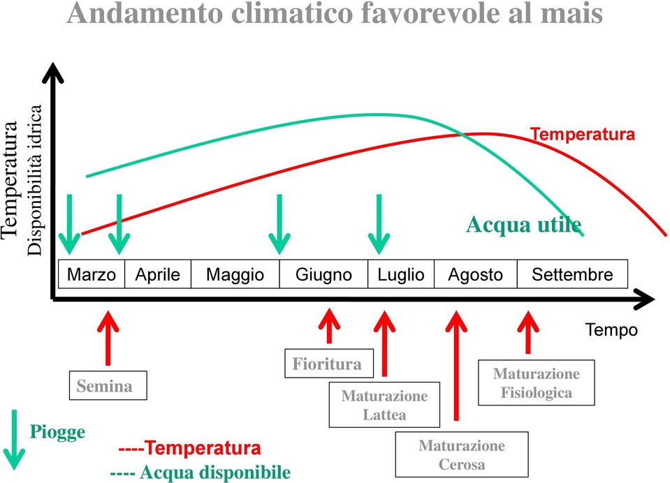 Settembre Piogge Semina ----Temperatura ---- Acqua disponibile