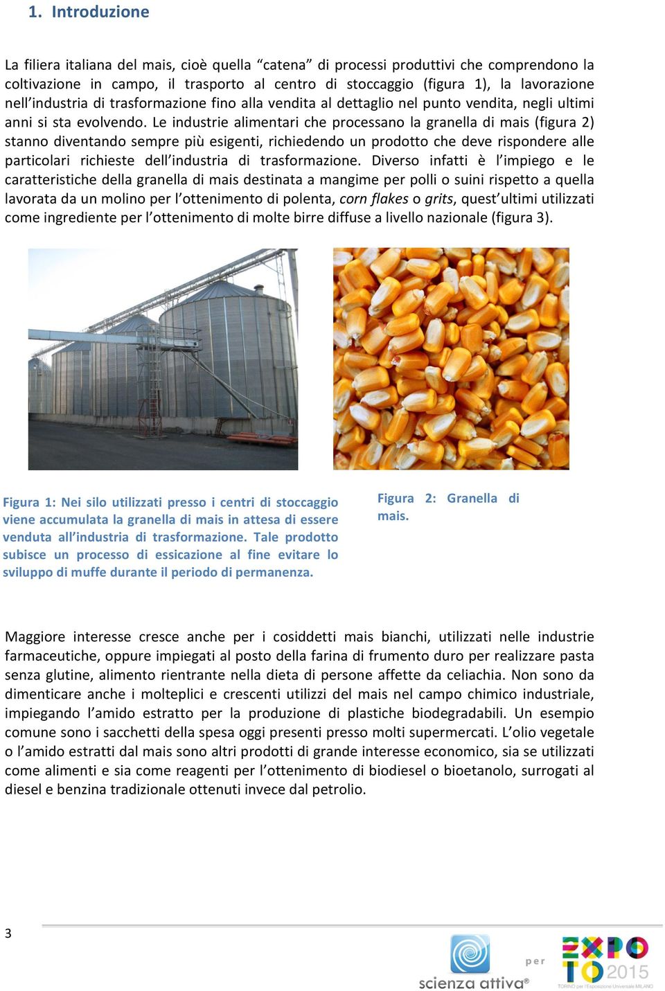 Le industrie alimentari che processano la granella di mais (figura 2) stanno diventando sempre più esigenti, richiedendo un prodotto che deve rispondere alle particolari richieste dell industria di