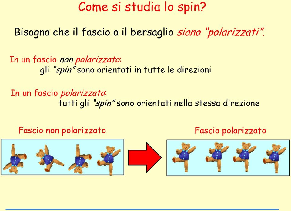 In un fascio non polarizzato: gli spin sono orientati in tutte le