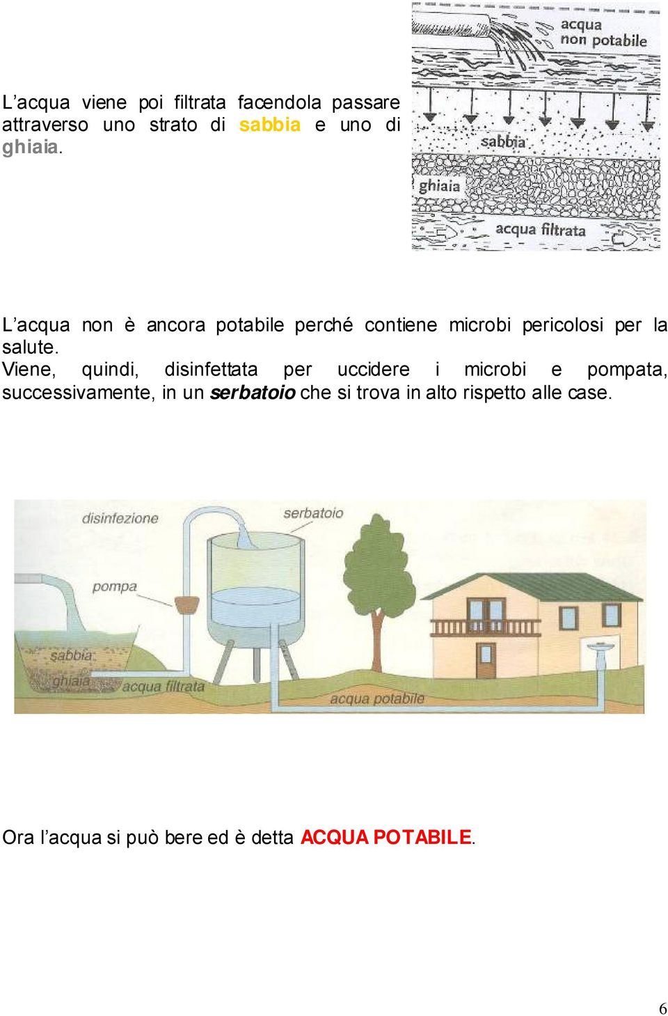 Viene, quindi, disinfettata per uccidere i microbi e pompata, successivamente, in un