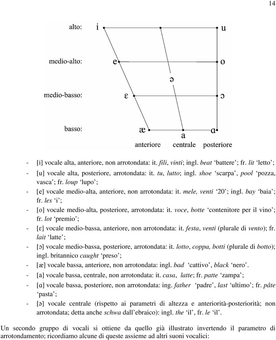 les i ; - [o] vocale medio-alta, posteriore, arrotondata: it. voce, botte contenitore per il vino ; fr. lot premio ; - [ɛ] vocale medio-bassa, anteriore, non arrotondata: it.