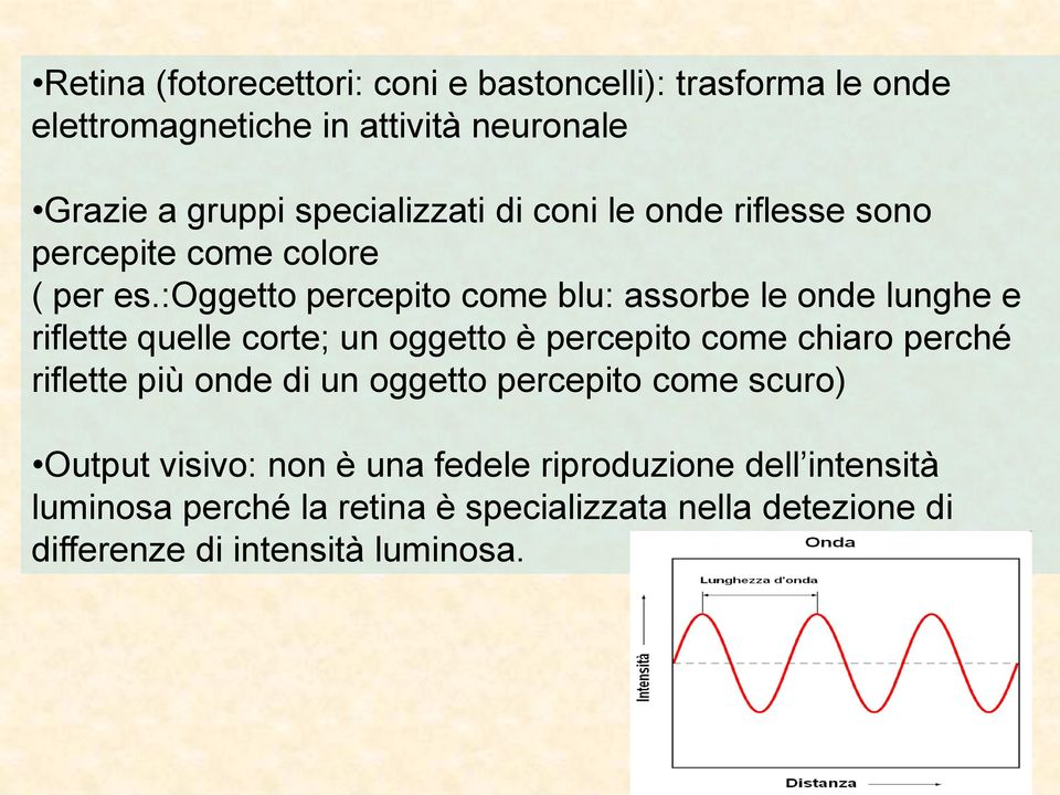 :oggetto percepito come blu: assorbe le onde lunghe e riflette quelle corte; un oggetto è percepito come chiaro perché riflette