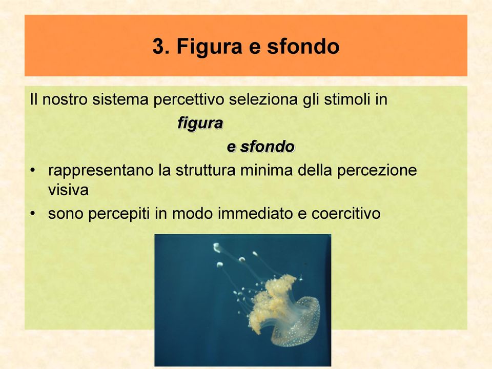 rappresentano la struttura minima della