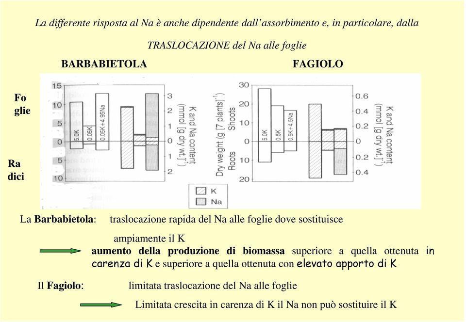 K aumento della produzione di biomassa superiore a quella ottenuta in carenza di K e superiore a quella ottenuta con elevato