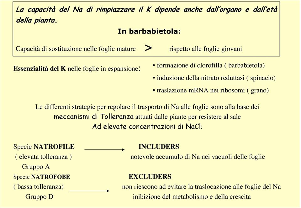 nitrato reduttasi ( spinacio) traslazione mrna nei ribosomi ( grano) Le differenti strategie per regolare il trasporto di Na alle foglie sono alla base dei meccanismi di Tolleranza attuati dalle