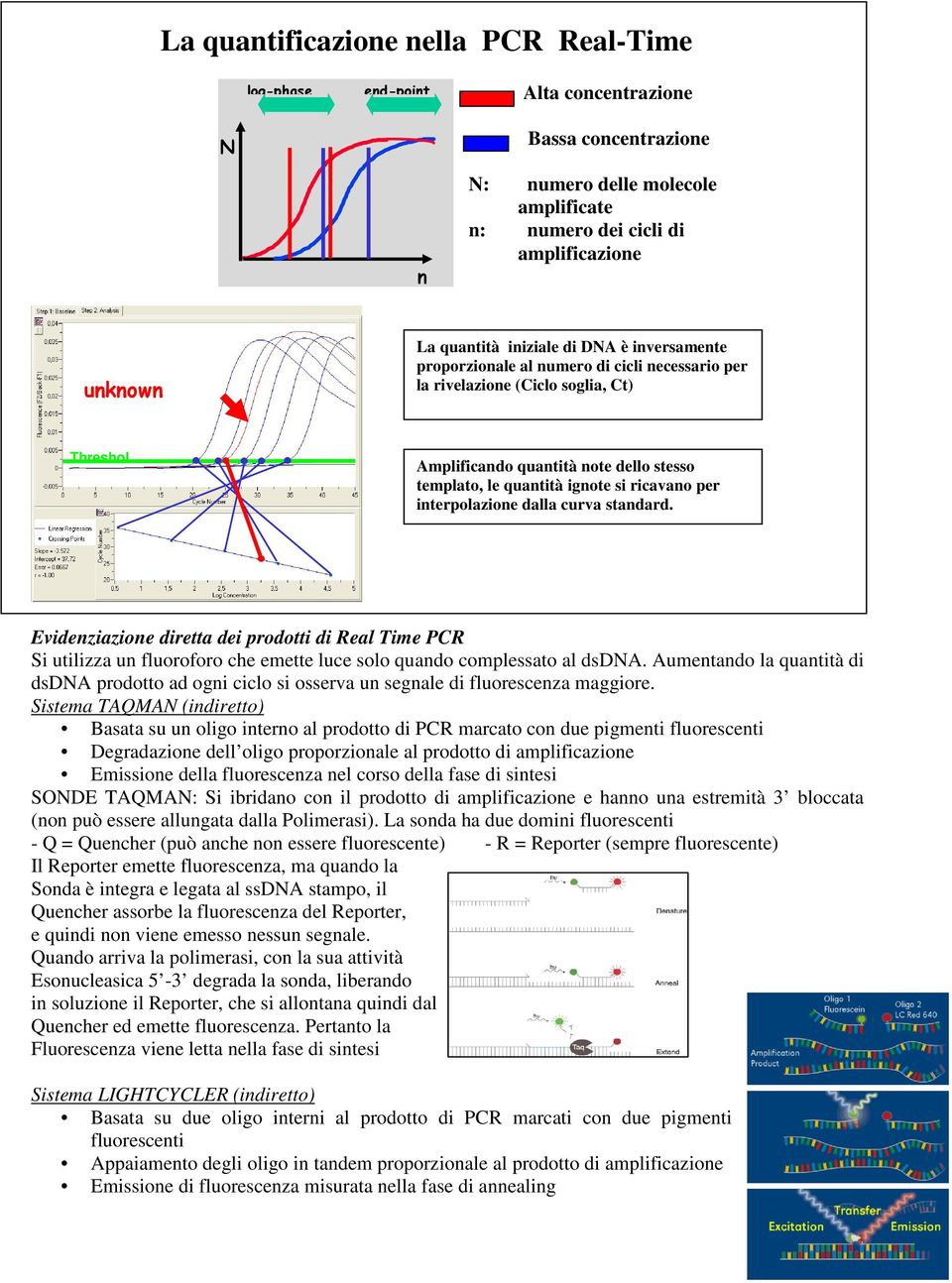 ricavano per interpolazione dalla curva standard. Evidenziazione diretta dei prodotti di Real Time PCR Si utilizza un fluoroforo che emette luce solo quando complessato al dsdna.