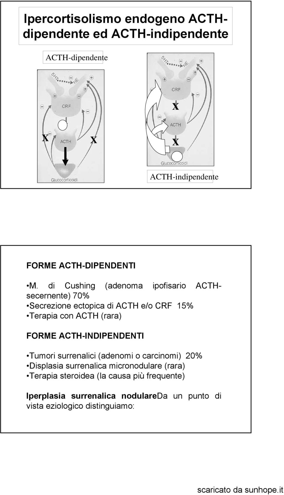 di Cushing (adenoma ipofisario ACTHsecernente) 70% Secrezione ectopica di ACTH e/o CRF 15% Terapia con ACTH (rara)