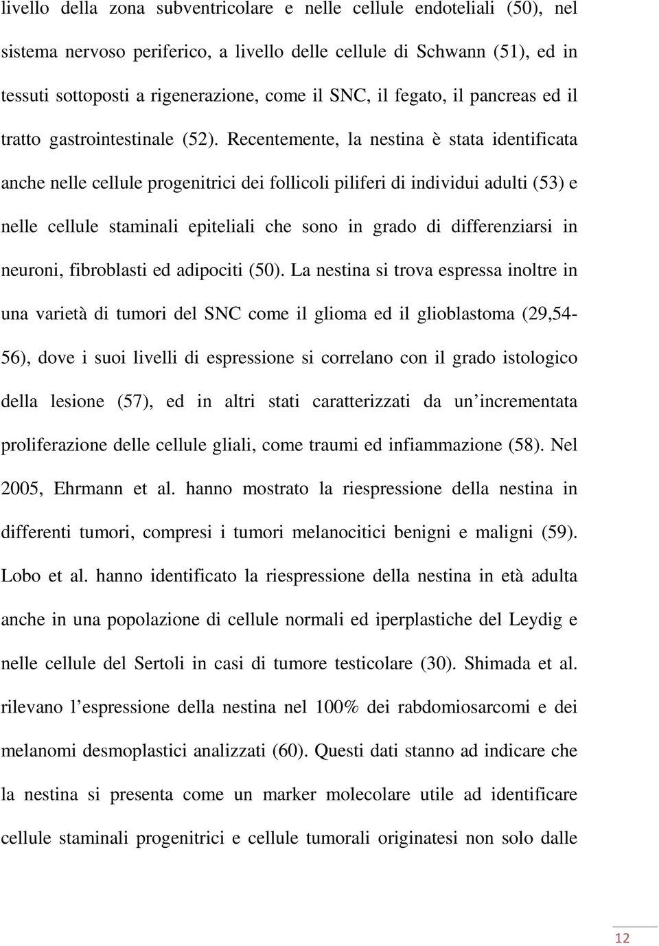 Recentemente, la nestina è stata identificata anche nelle cellule progenitrici dei follicoli piliferi di individui adulti (53) e nelle cellule staminali epiteliali che sono in grado di differenziarsi