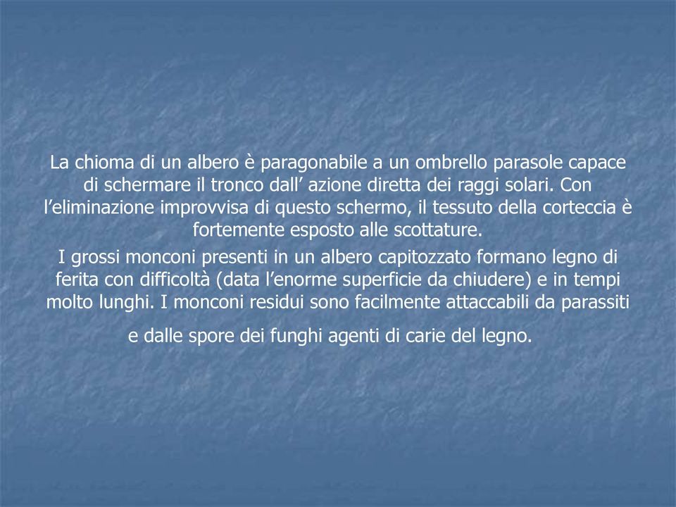 I grossi monconi presenti in un albero capitozzato formano legno di ferita con difficoltà (data l enorme superficie da