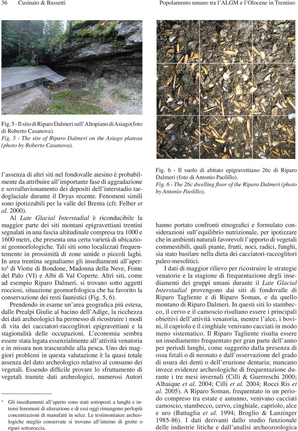 recente. Fenomeni simili sono ipotizzabili per la valle del Brenta (cfr. Felber et al. 2000).