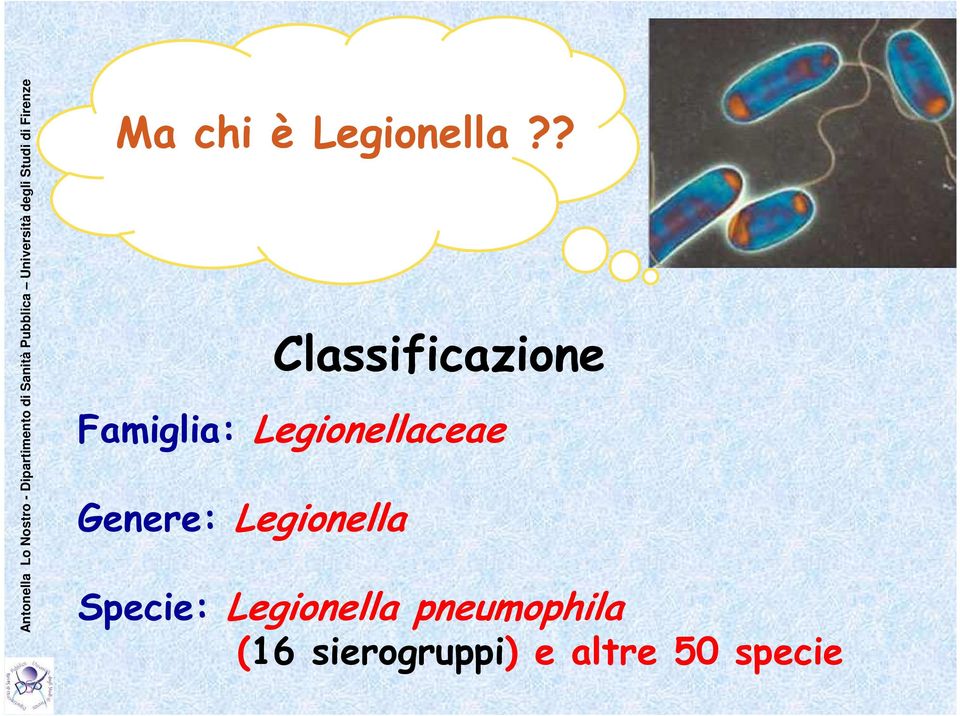 Legionella Specie: Legionella pneumophila (16 sierogruppi)