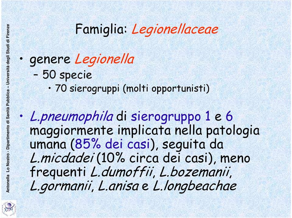 pneumophila di sierogruppo 1 e 6 maggiormente implicata nella patologia