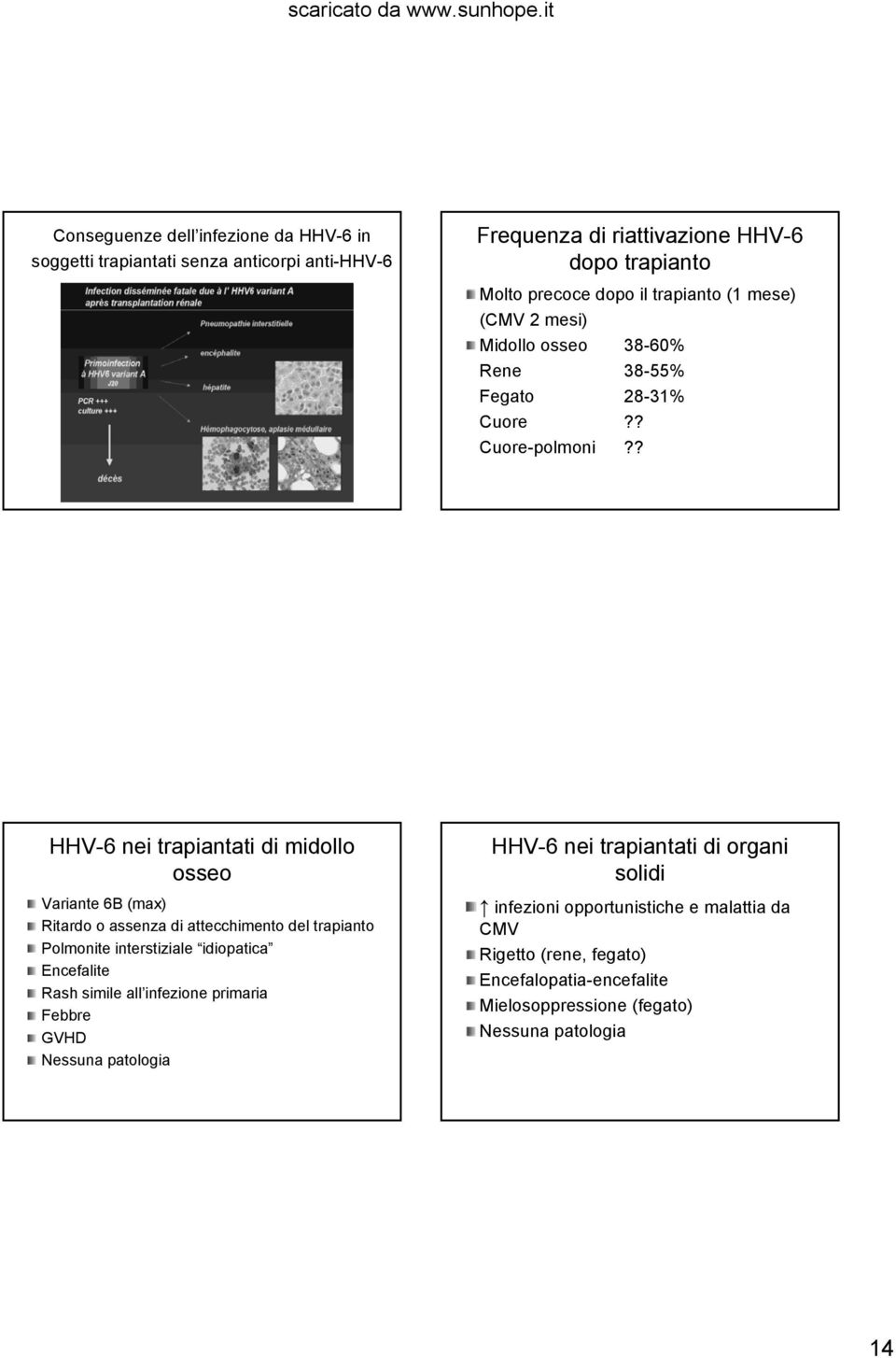 ? HHV-6 nei trapiantati di midollo osseo Variante 6B (max) Ritardo o assenza di attecchimento del trapianto Polmonite interstiziale idiopatica Encefalite Rash