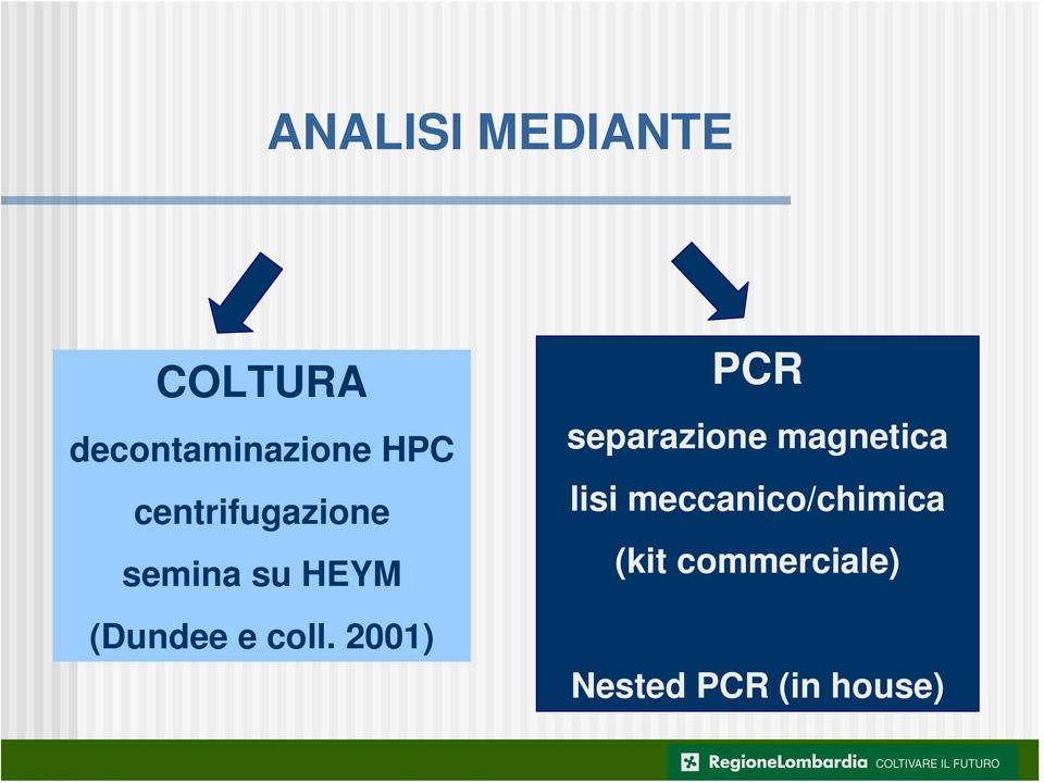 2001) PCR separazione magnetica lisi