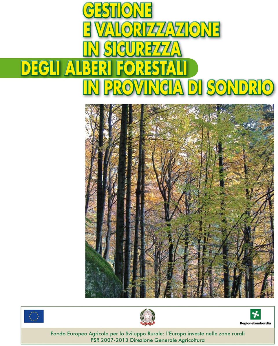 SICUREZZA DEGLI