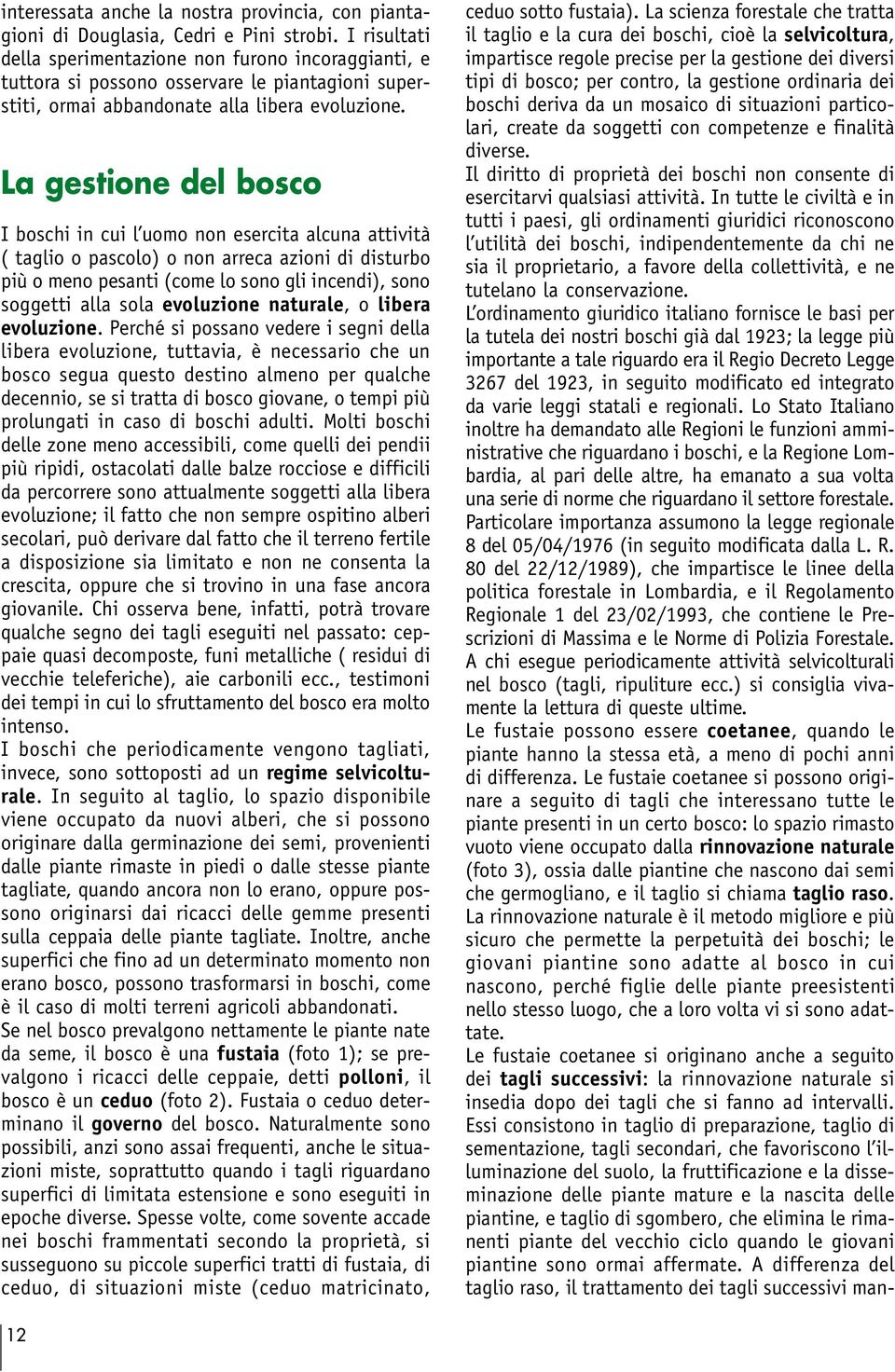 La gestione del bosco I boschi in cui l uomo non esercita alcuna attività ( taglio o pascolo) o non arreca azioni di disturbo più o meno pesanti (come lo sono gli incendi), sono soggetti alla sola