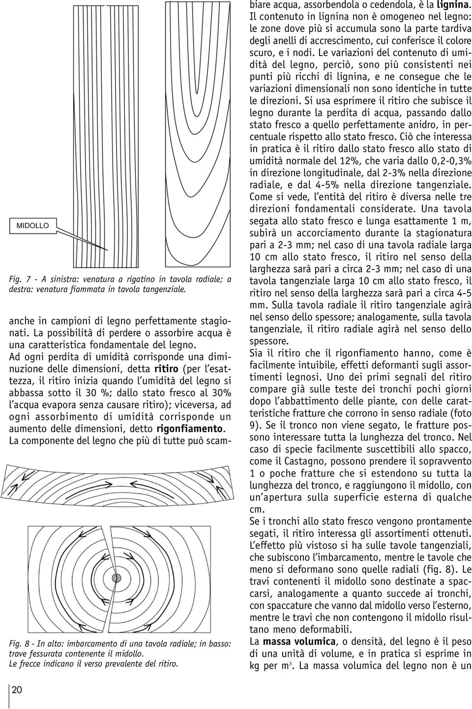 anche in campioni di legno perfettamente stagionati. La possibilità di perdere o assorbire acqua è una caratteristica fondamentale del legno.