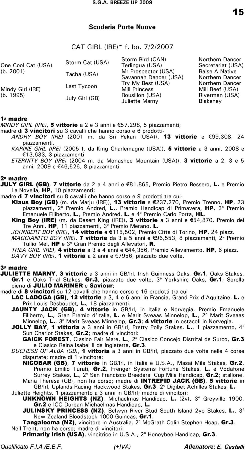 Secretariat (USA) Raise A Native Mill Reef (USA) Riverman (USA) Blakeney MINDY GIRL (IRE), 5 vittorie a 2 e 3 anni e 57,298, 5 piazzamenti; madre di 3 vincitori su 3 cavalli che hanno corso e 6