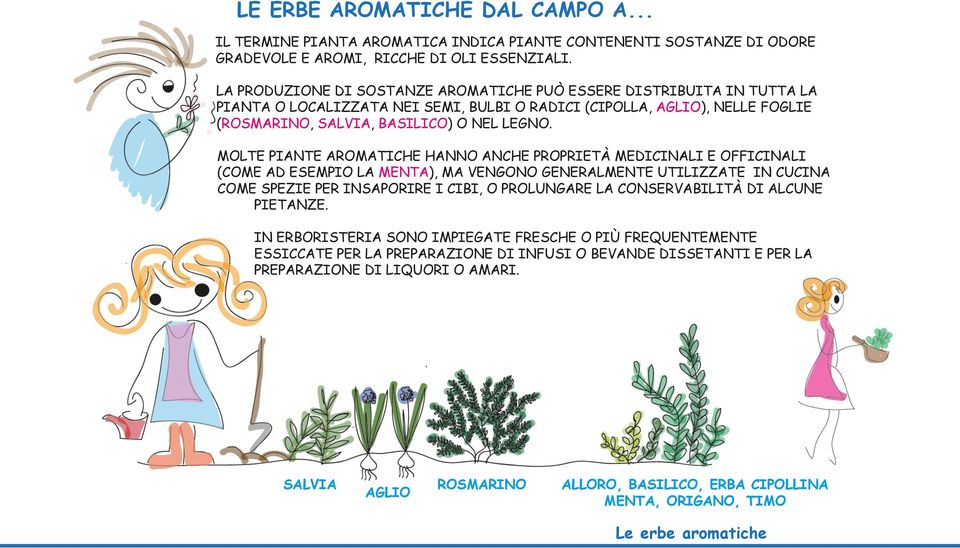 MOLTE PIANTE AROMATICHE HANNO ANCHE PROPRIETÀ MEDICINALI E OFFICINALI (COME AD ESEMPIO LA MENTA), MA VENGONO GENERALMENTE UTILIZZATE IN CUCINA COME SPEZIE PER INSAPORIRE I CIBI, O PROLUNGARE LA