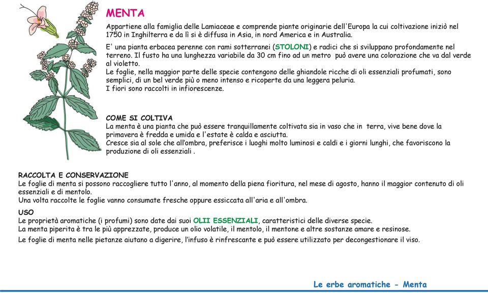 Il fusto ha una lunghezza variabile da 30 cm fino ad un metro può avere una colorazione che va dal verde al violetto.