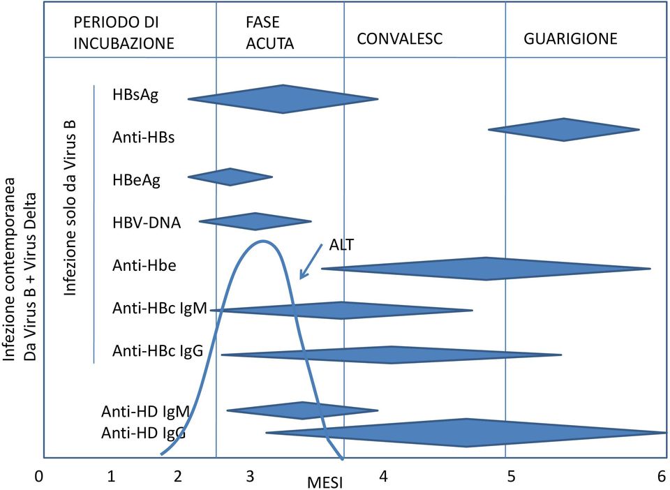 Virus B Infezione Anti HBs HBeAg HBV DNA Anti Hbe Anti HBc