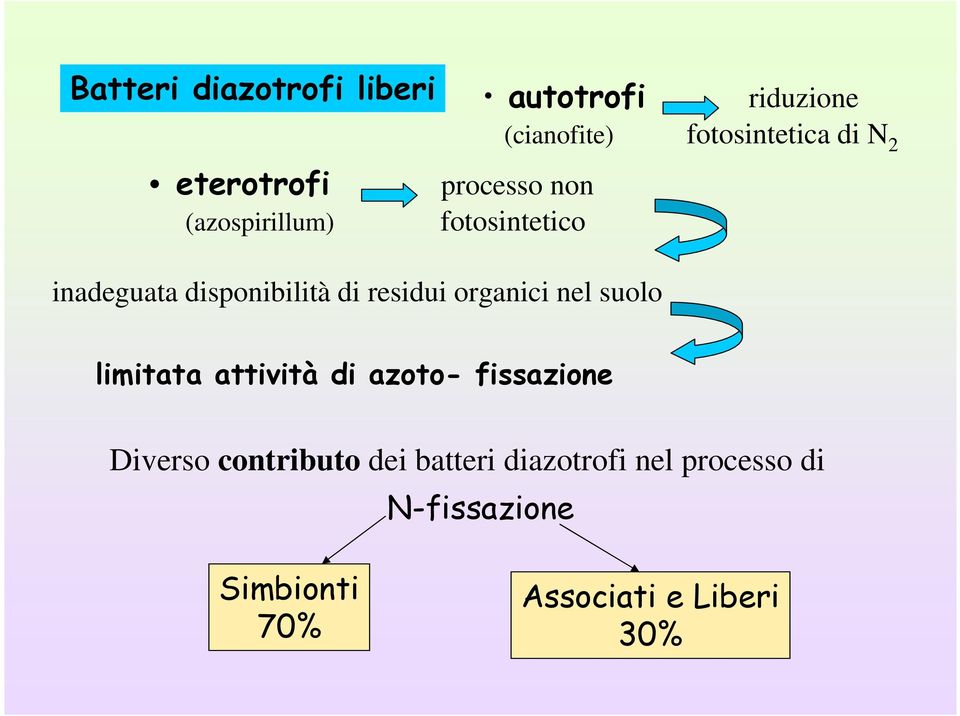 (cianofite) fotosintetica di N 2 limitata attività di azoto- fissazione Diverso