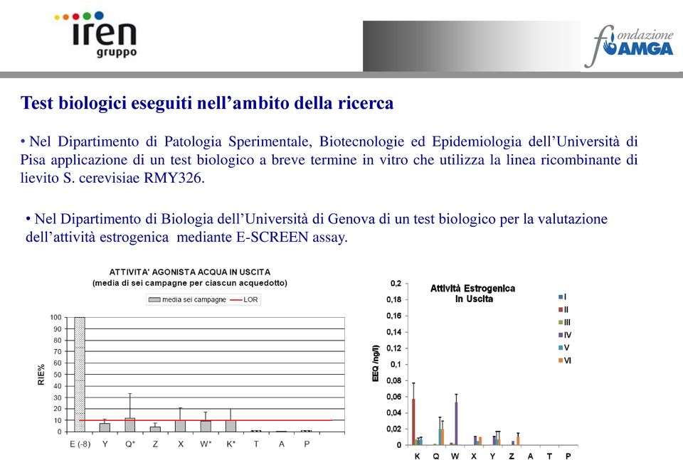 in vitro che utilizza la linea ricombinante di lievito S. cerevisiae RMY326.