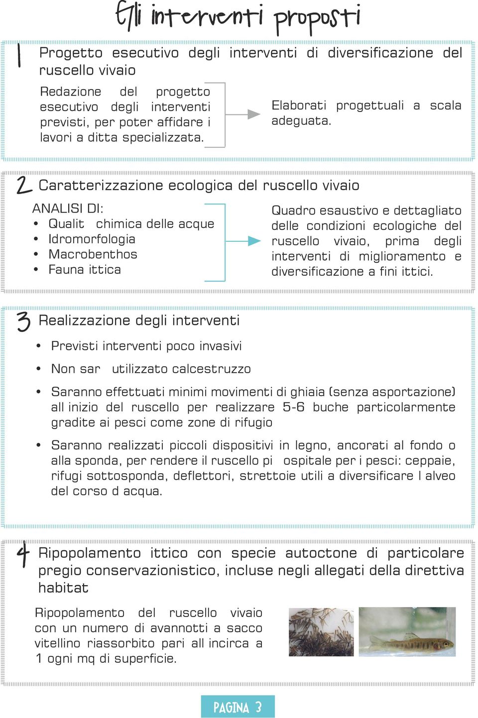 2 Caratterizzazione ecologica del ruscello vivaio ANALISI DI: Qualità chimica delle acque Idromorfologia Macrobenthos Fauna ittica Quadro esaustivo e dettagliato delle condizioni ecologiche del