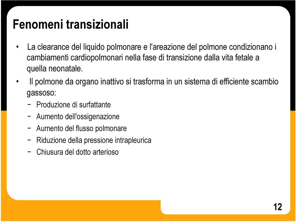 Il polmone da organo inattivo si trasforma in un sistema di efficiente scambio gassoso: Produzione di